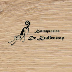 Lezing – 10 stappen voor een gelukkige kat